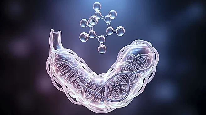 Study Reveals Potential Long-Term Effects of Artificial Sweeteners on Gut and Genes