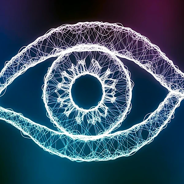 Study Finds Brain Uses Same Cells for Seeing and Imagining