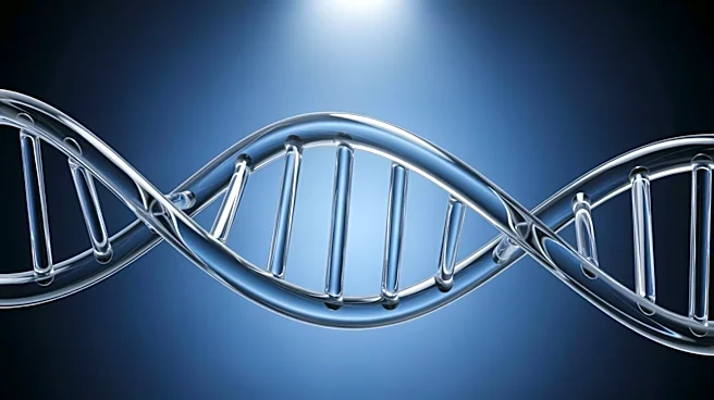 PRSS56 Gene Identified as Key Target for Myopia Treatment