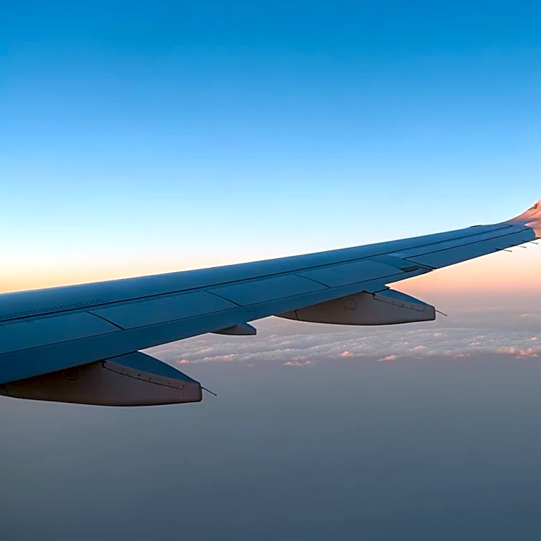 U.S. International Air Travel Declines in March Amid Rising Overseas Visitation