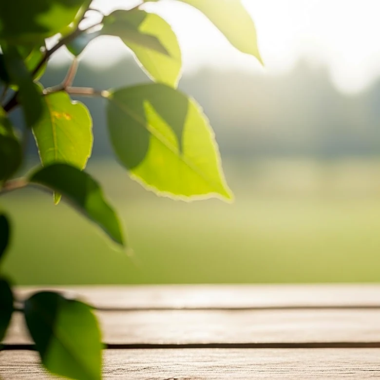 Prodezi and Swiss Asia Partner SA Collaborate on Be Milk Project in Tay Ninh