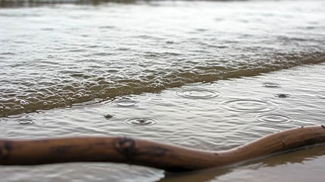 Health Officials Warn of Contaminated Waters at SoCal Beaches Following Rainfall