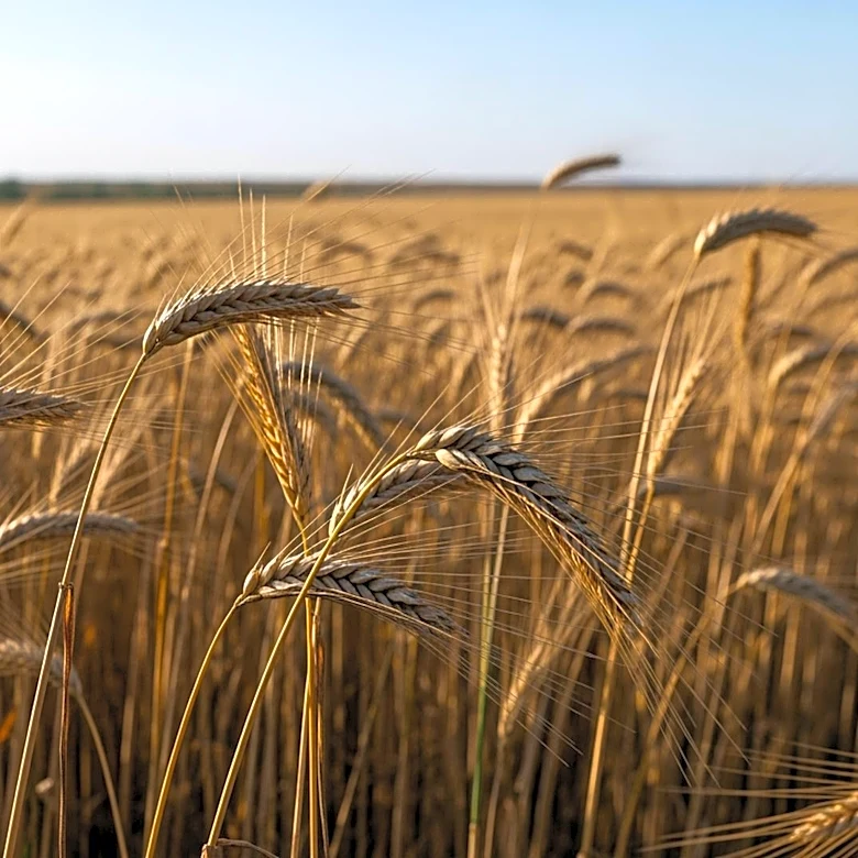 Florida Lt. Gov. Jay Collins Advocates for Agriculture Security as National Security