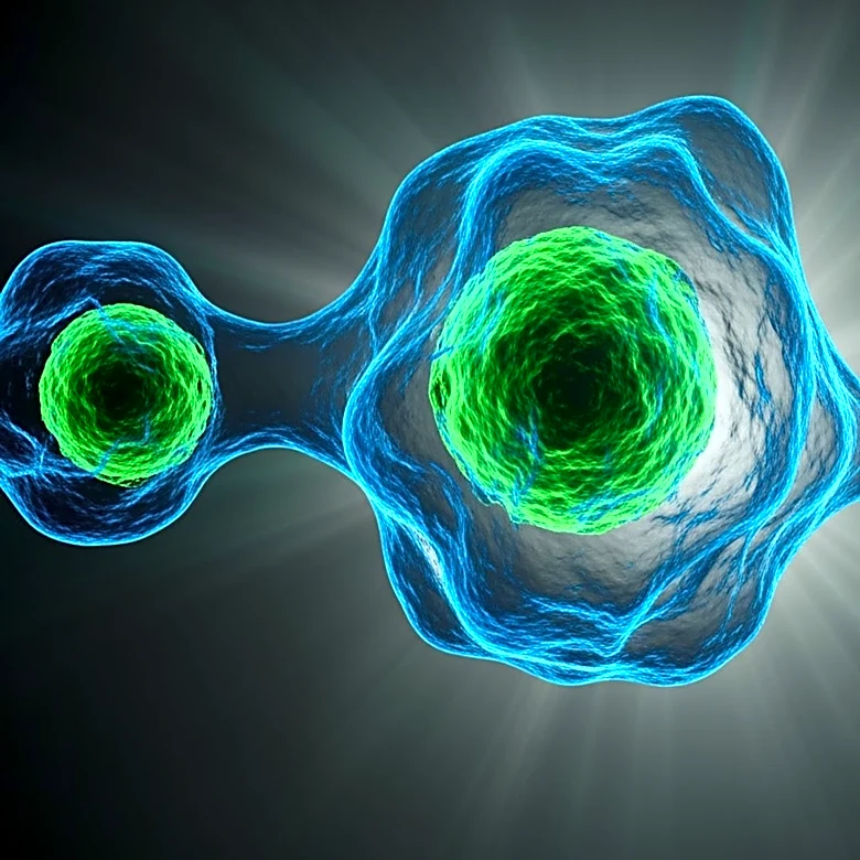 CAR-T Cell Therapy Shows Promise for Autoimmune Diseases Beyond Cancer