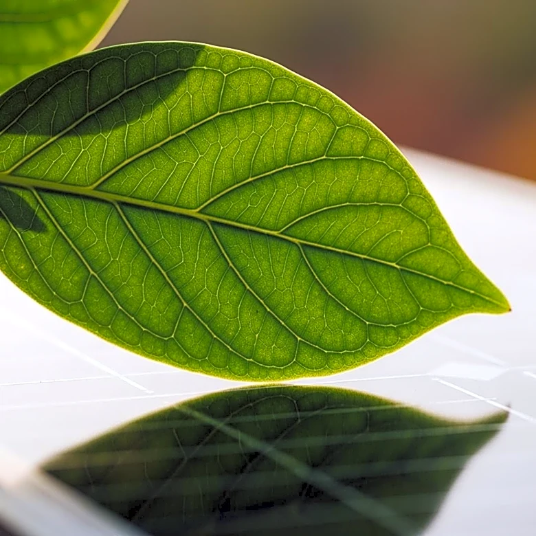 Local Opposition Challenges Solar Energy Projects in Ohio