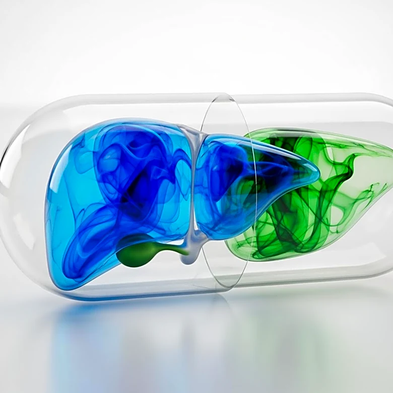 GLP-1 Drug Semaglutide Found to Improve Liver Health Without Weight Loss in Mice