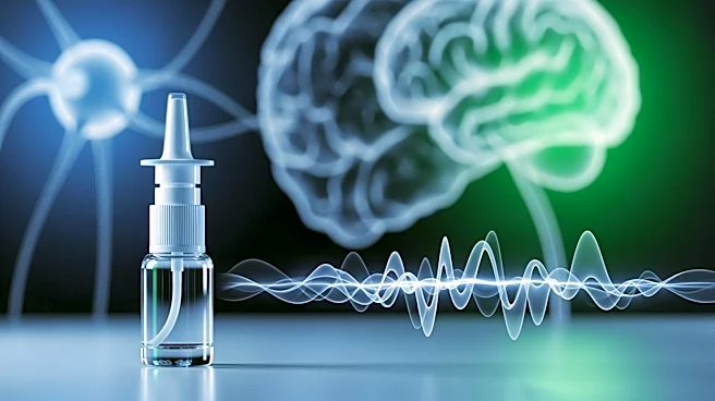 Texas A Researchers Develop Nasal Spray to Reverse Brain Aging and Inflammation