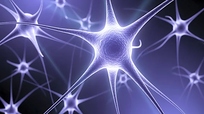 Researchers Identify Astrocytes as Key in Alzheimer's Defense