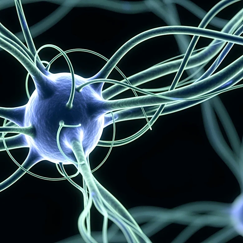 Baylor College of Medicine Identifies Tubulin as Potential Protector Against Alzheimer's and Parkinson's