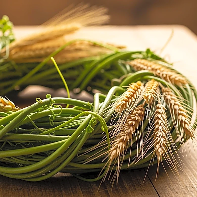 EU Sustainable Supply Chains Coalition Formed to Enhance Agricultural Sustainability