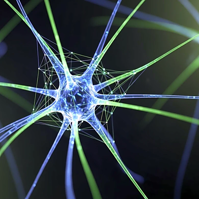 Stanford Neuroscientist Explores Neuron-Level Brain Research to Aid Stroke Recovery