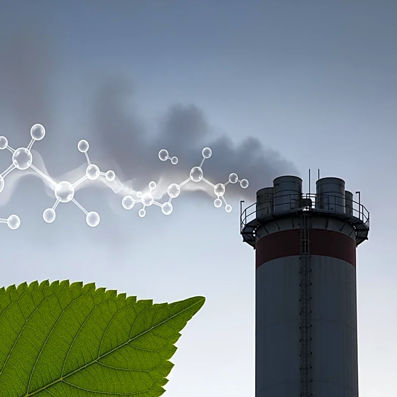 Bioenergy with Carbon Capture and Storage Faces Challenges in Climate Change Mitigation