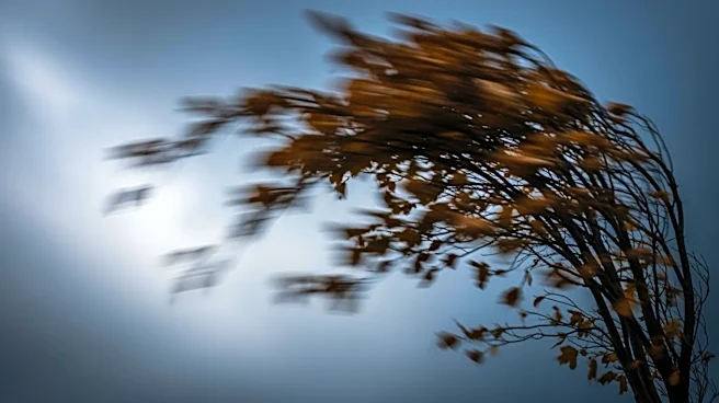 Severe Weather Alert Issued for West Michigan Amid Damaging Wind Threat