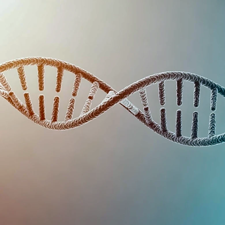 USC Study Identifies Genetic Links to Severe Pregnancy Sickness