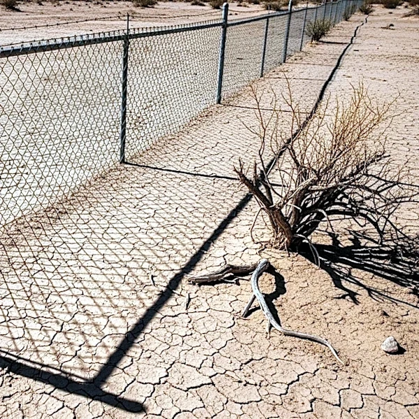 ICE Desert Detention Camp Faces Criticism Over Conditions and Environmental Impact