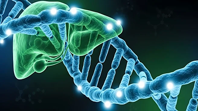 Scientists Develop Genetic Atlas to Understand Human Liver Function and Disease Vulnerability