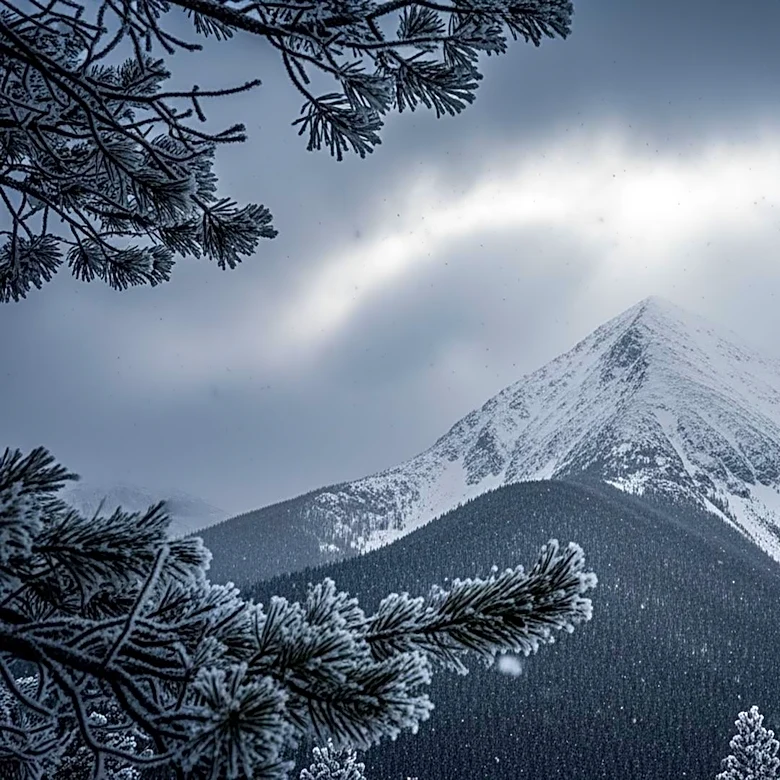 National Weather Service Issues Winter Storm Warning for Western U.S., Advises Caution