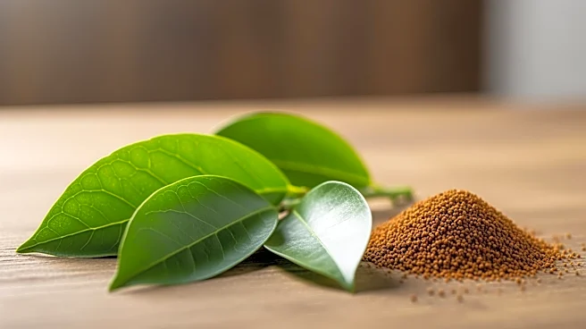 Indonesia Secures Fertiliser Supply Amid Global Disruptions from Middle East Tensions