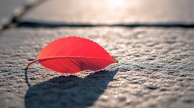Study Finds Red Hair Gene Favored by Natural Selection Over Millennia