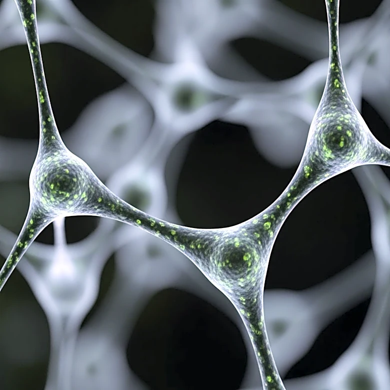 University College Dublin Researchers Discover Cell Messaging System for Targeting Tumors