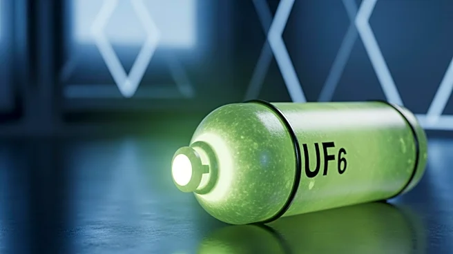 Former Israeli Defense Official Warns Against US-Iran Nuclear Deal Due to Enriched Uranium Concerns