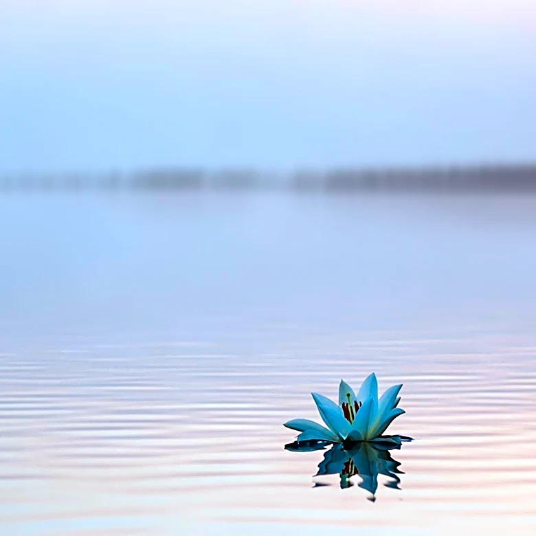 Suffolk County Police Identify Body Found in Long Island Sound as Missing Oyster Bay Woman