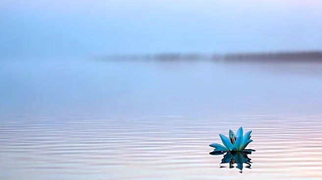 Suffolk County Police Identify Body Found in Long Island Sound as Missing Oyster Bay Woman