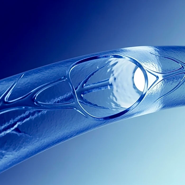 Binghamton University Research Explores Vascular Impact of Parkinson's Disease