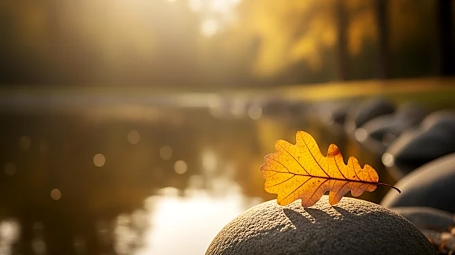 Carole J. Yackley Passes Away at 83 in Naperville, IL