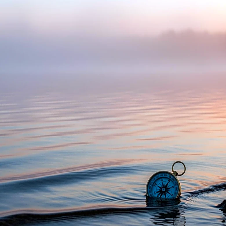 Body Found in Lake Ontario in 1992 Identified Through Genetic Genealogy