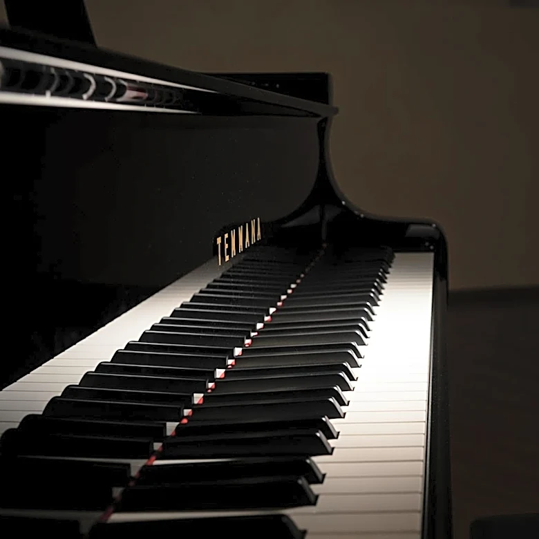 South Korean Pianist Lee Hun Overcomes Stroke to Perform as One-Handed Virtuoso