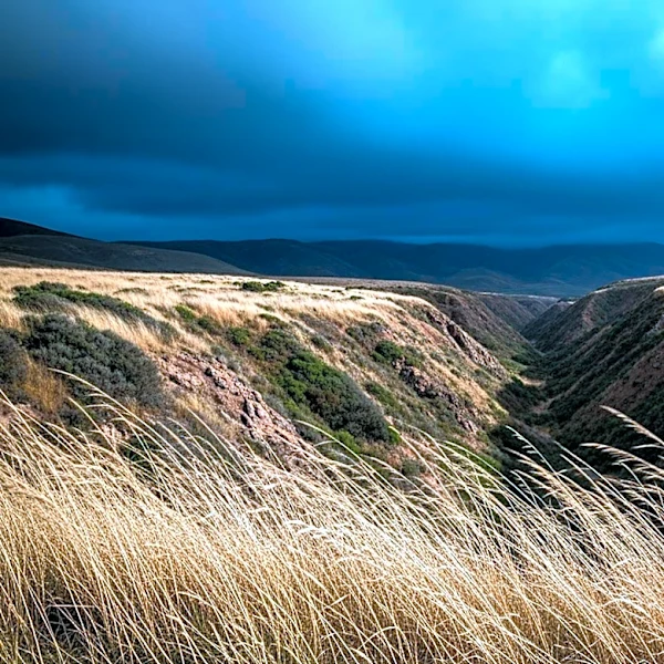 Los Angeles Prepares for Santa Ana Winds and Upcoming Rainfall