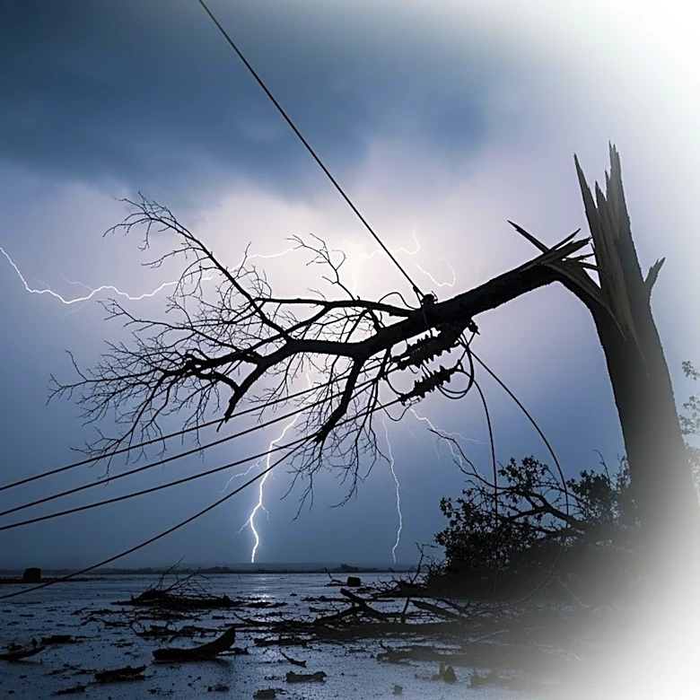 EF-1 Tornado in Ann Arbor Causes Significant Damage and Power Outages