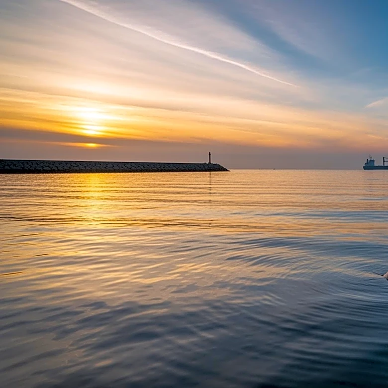 President Trump Criticizes NATO Over Hormuz, Germany Offers Mine Clearance Support