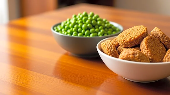 Illinois Task Force Promotes Alternative Proteins to Enhance Food Security