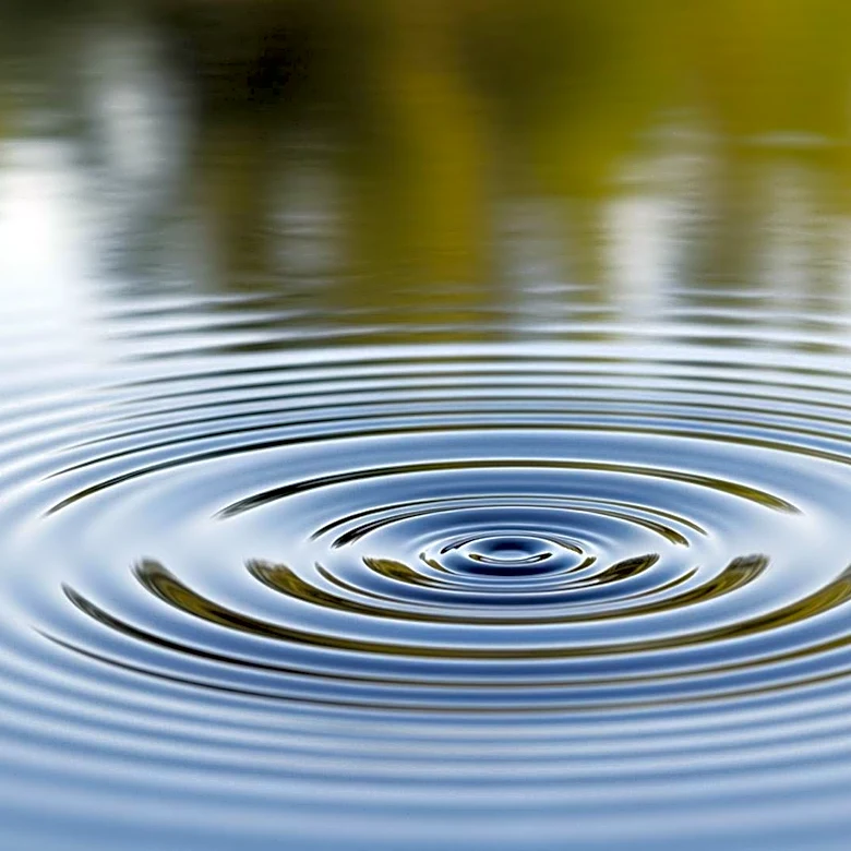 Study Reveals Universal Rhythm in Animal Communication Across Species