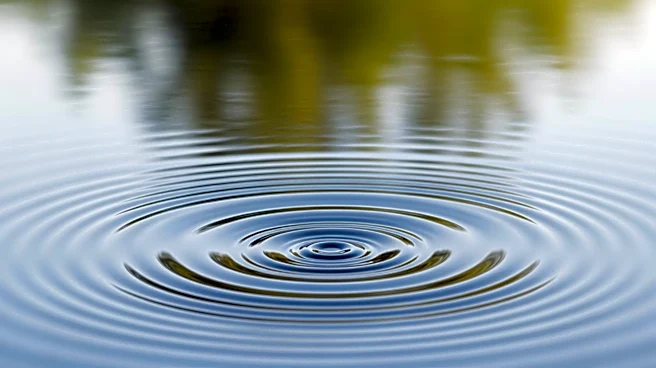 Study Reveals Universal Rhythm in Animal Communication Across Species