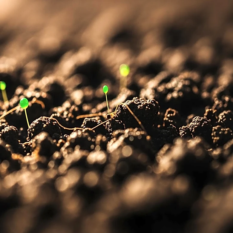 Soil Bacteria Research Revives Antibiotic Discovery Amid Rising Resistance