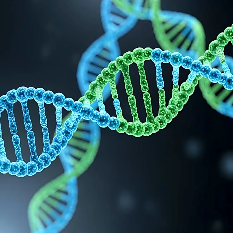 Scientists Identify Mechanism of Bacterial Gene Transfer, Highlighting Antibiotic Resistance Spread