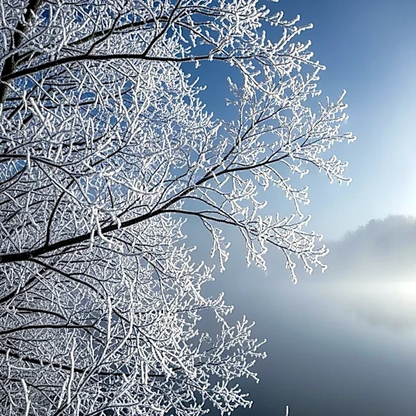 Minnesota Temperatures to Drop Below Freezing Overnight