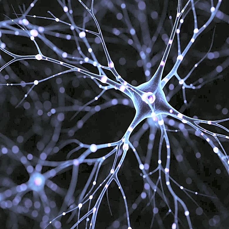 Study Reveals Peripheral Nervous System's Role in Alzheimer's Disease