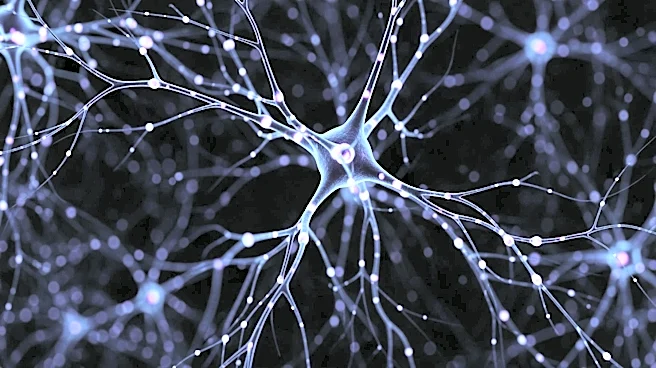Study Reveals Peripheral Nervous System's Role in Alzheimer's Disease