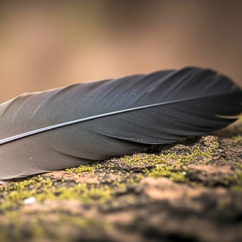 Study Reveals Impact of Animal Personality on Raven Survival Amid Human Activities