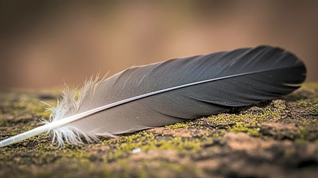 Study Reveals Impact of Animal Personality on Raven Survival Amid Human Activities