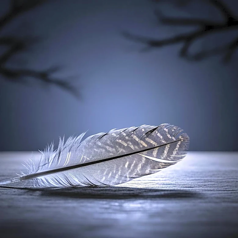 Redondo Beach Police Issue PSA on Owl Fledglings to Educate Residents