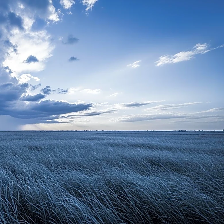 Cold Front Brings Cooler Temperatures to North Texas After Stormy Saturday