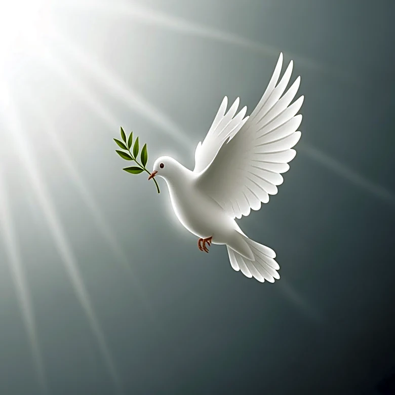 Pope Leo XIV Declines Debate with President Trump, Continues Peace Advocacy