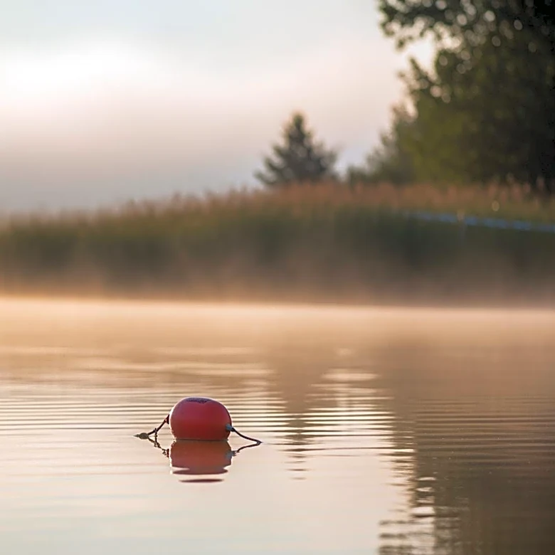 IRONMAN Texas Participant Dies During Swimming Portion, Investigation Underway