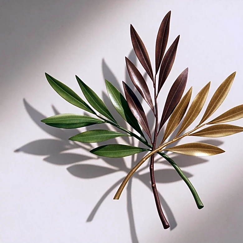 Mexico, Spain, and Brazil Advocate for Cuba's Sovereignty Amid US Pressure