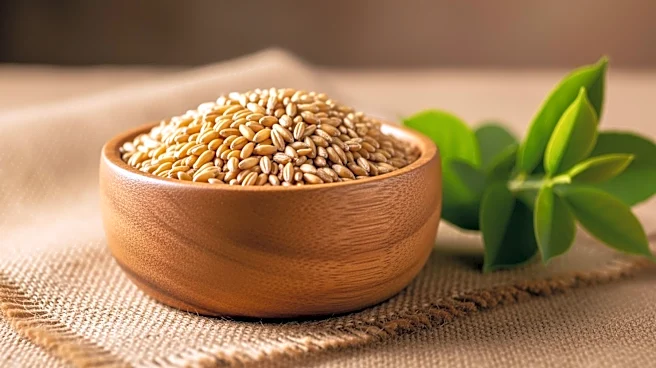 Okyeame Kwame's Voluntary Role in Feed Ghana Initiative Clarified by Agriculture Ministry